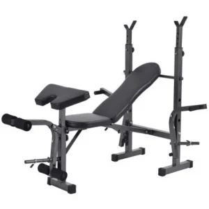 Multi Workout Weight Bench