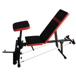 Gym Bench - MDK 313-1 Sit-Up Bench