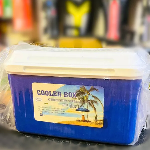 Cool Box 8Liter with Handle
